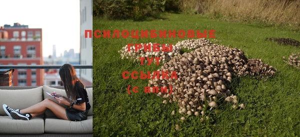 COCAINE Алексеевка