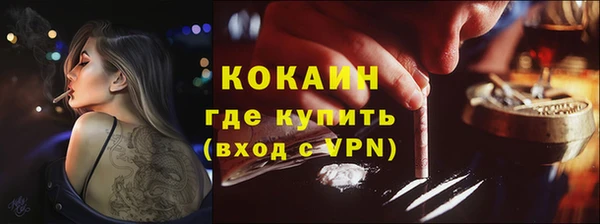 стаф Алзамай